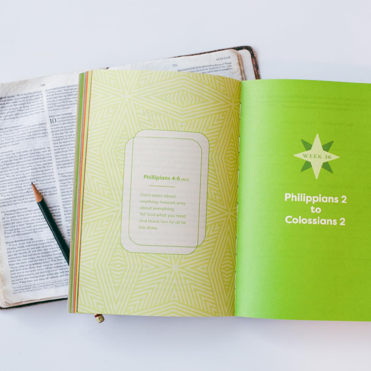 52 Weeks in the Word: Student Edition: A Guide for Reading the New Testament in a Yea