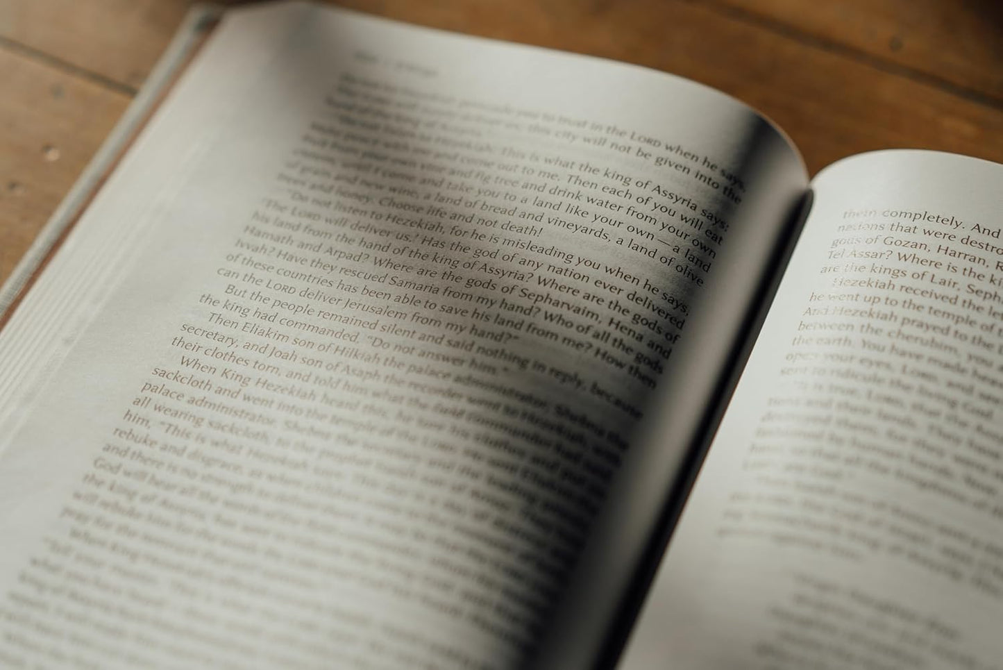 NIV Lectio Bible: A Simple, Ancient Way to Read the Library of Scripture, Cloth Over Board