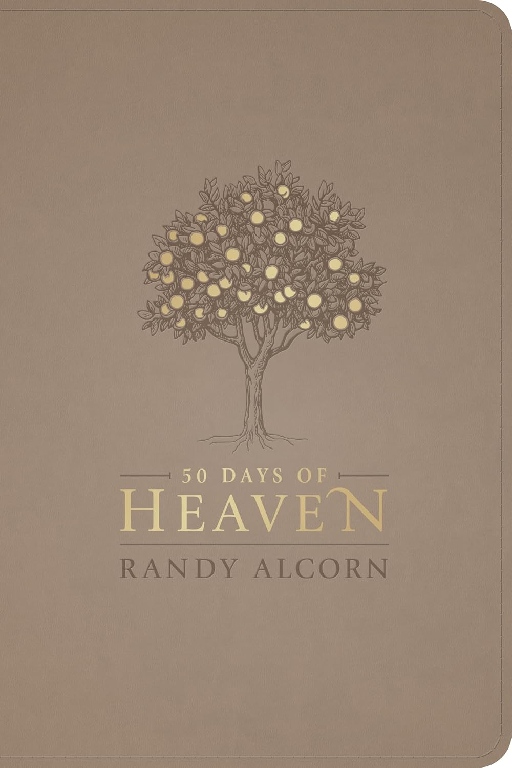 50 Days of Heaven: Reflections That Bring Eternity to Light