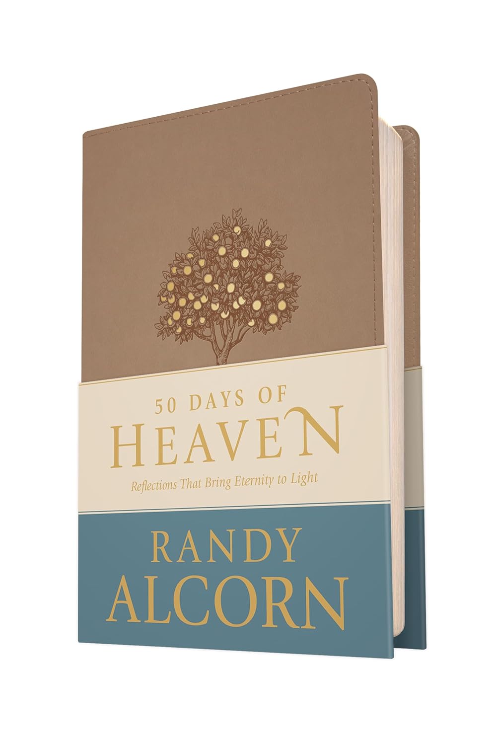 50 Days of Heaven: Reflections That Bring Eternity to Light