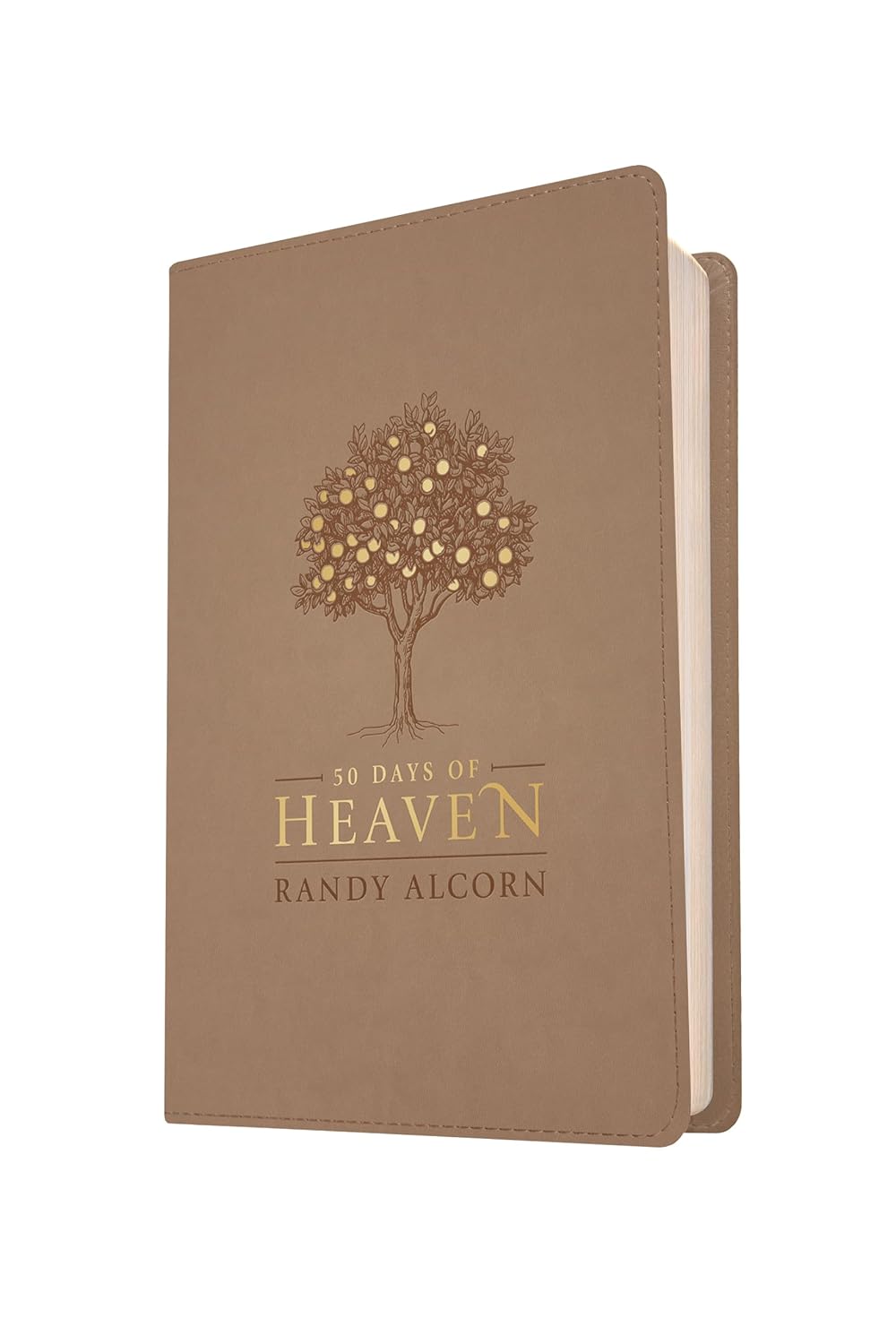 50 Days of Heaven: Reflections That Bring Eternity to Light