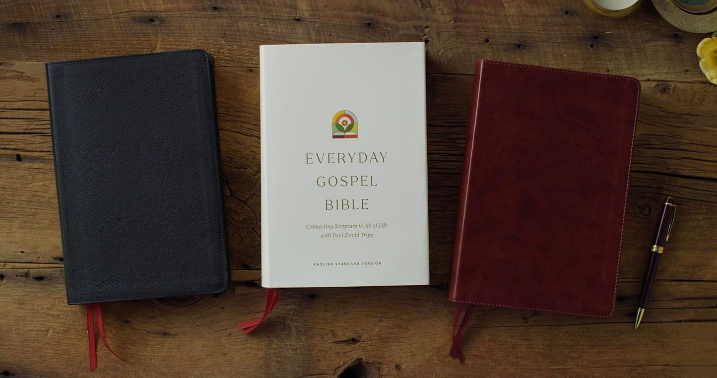 ESV Everyday Gospel Bible
