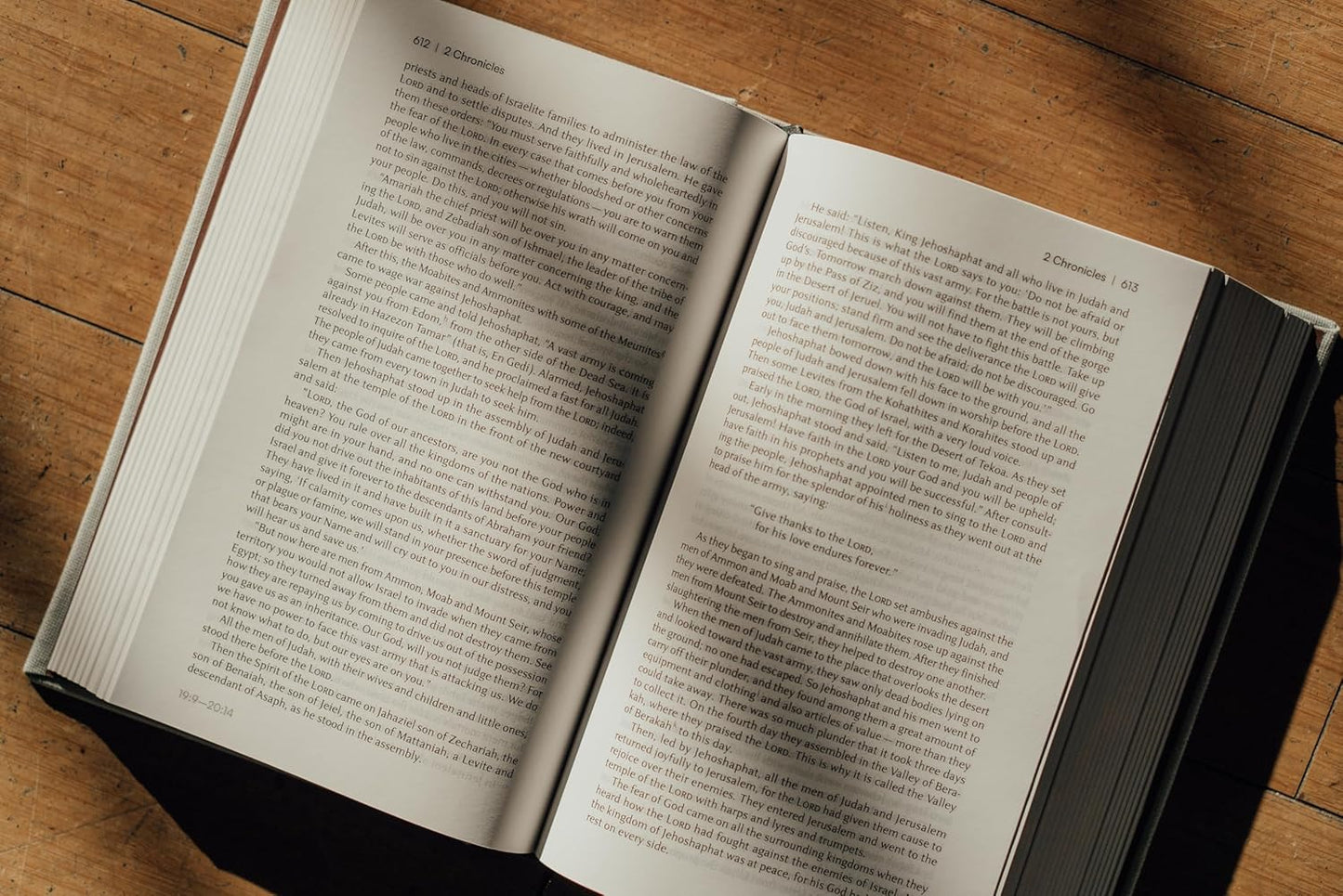 NIV Lectio Bible: A Simple, Ancient Way to Read the Library of Scripture, Cloth Over Board