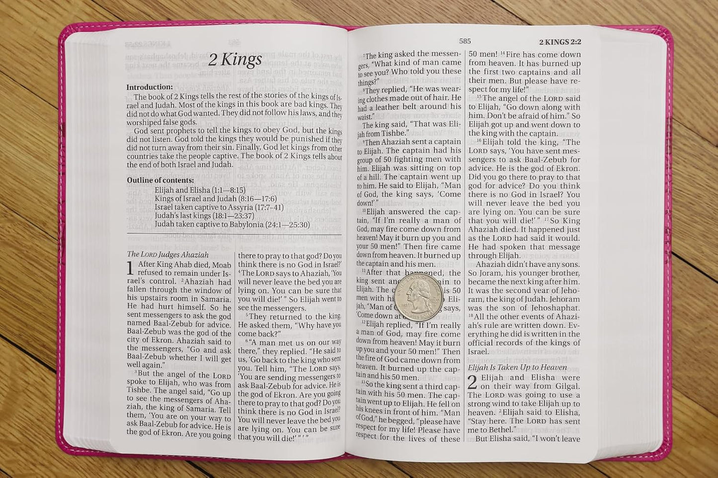 NIrV, Holy Bible, Large Print, Leathersoft, Blue Imitation Leather