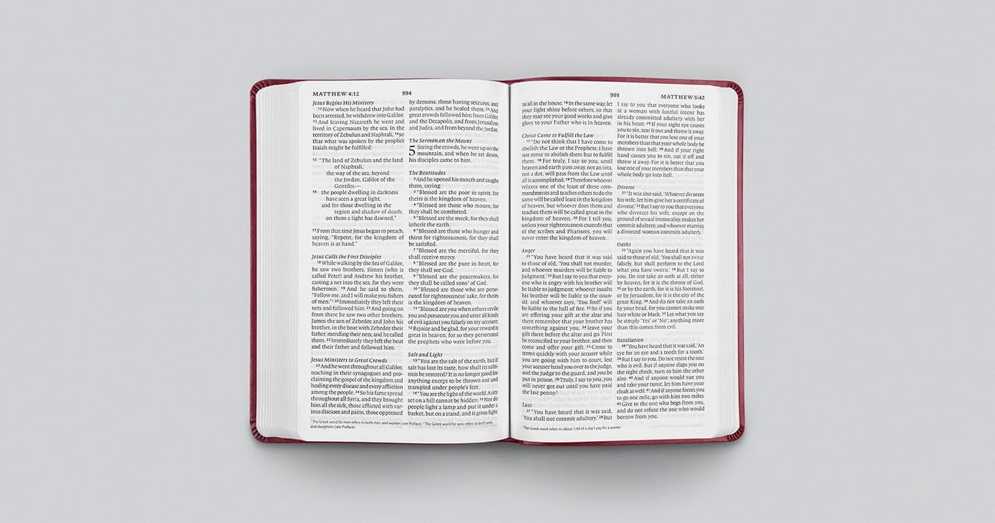 ESV Large Print Value Thinline Bible (TruTone, Raspberry, Floral Design)
