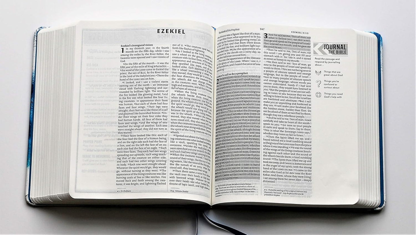 Engage NIV Youth Bible