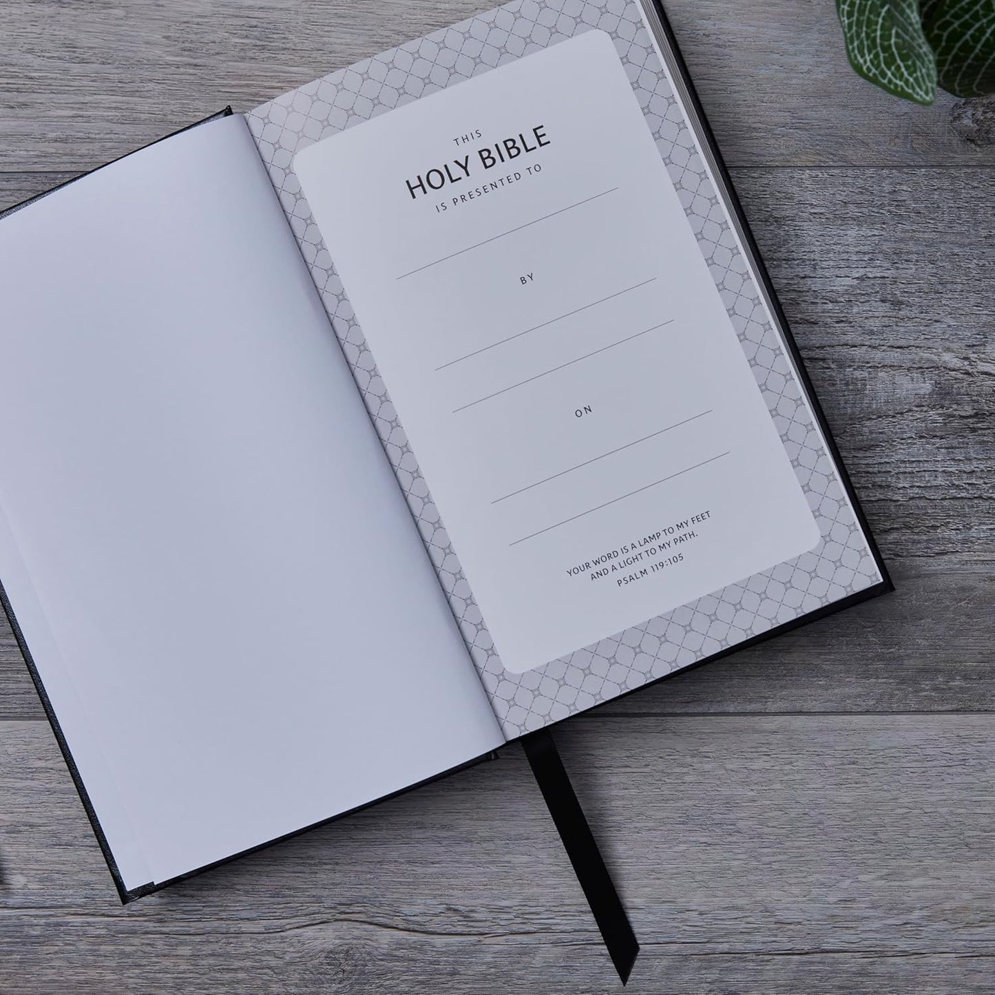 NKJV, Single-Column Reference Bible, Verse-By-Verse