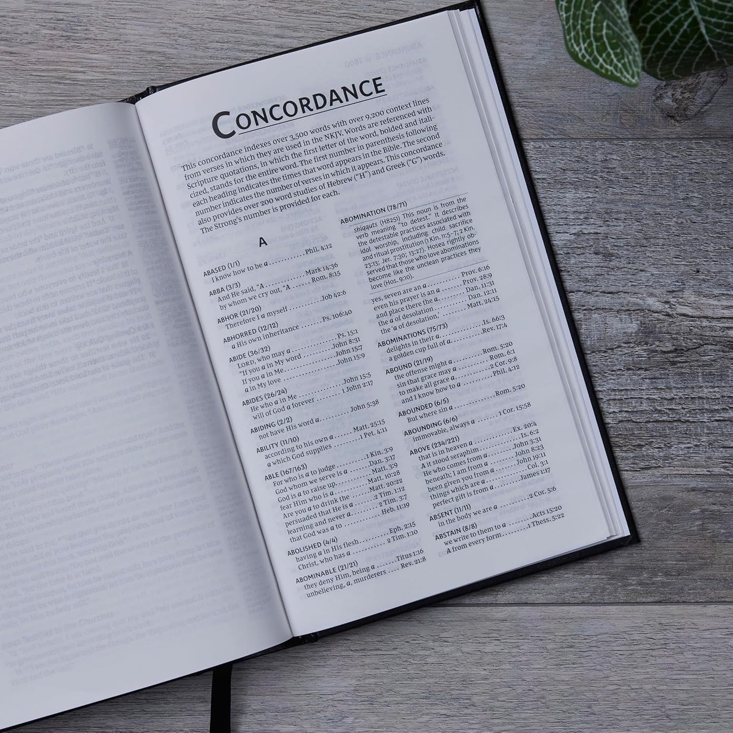 NKJV, Single-Column Reference Bible, Verse-By-Verse