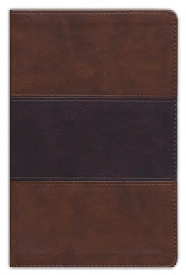 KJV Large Print Personal Size Reference Bible, Saddle Brown Leathertouch Imitation Leather