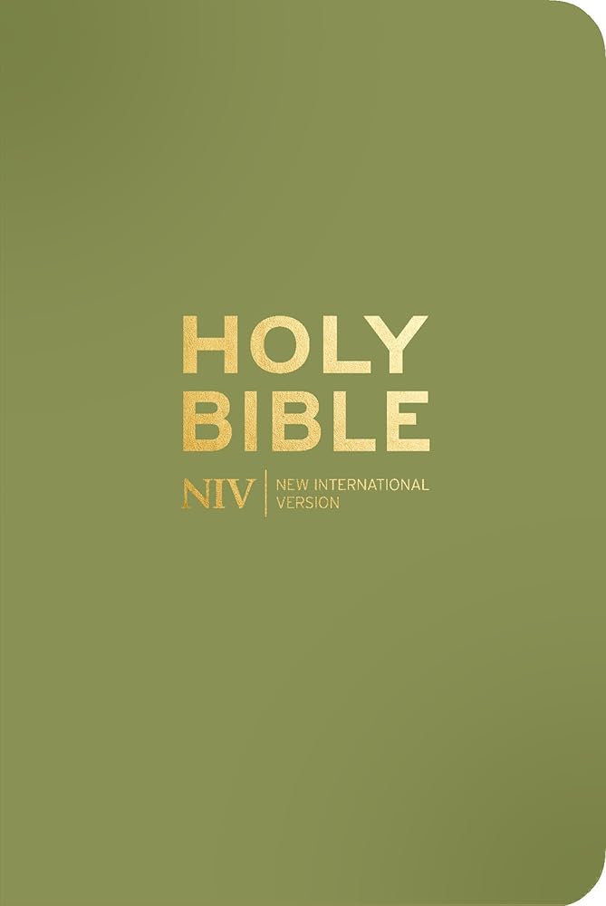 NIV Pocket Olive Green Bible with Gold Zip cover image