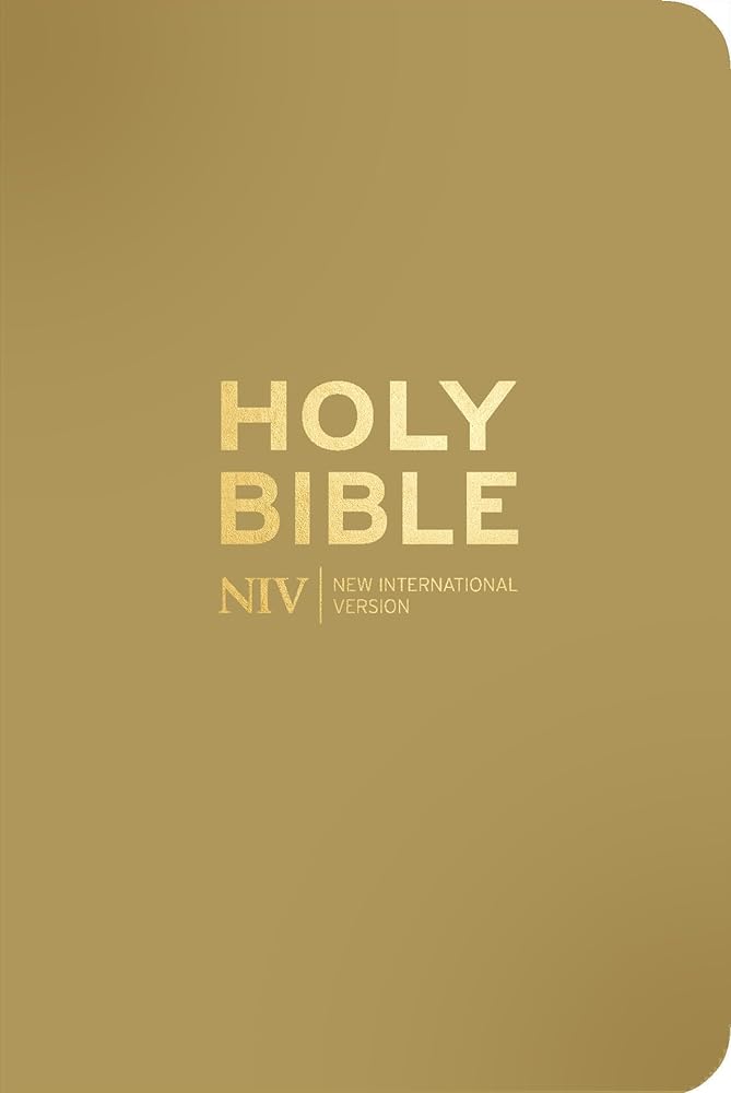 NIV Pocket Latte Bible with Gold Zip cover image