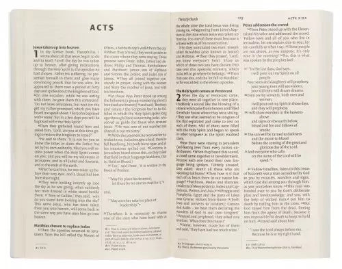 NIV New Testament Outreach Edition, Paperback