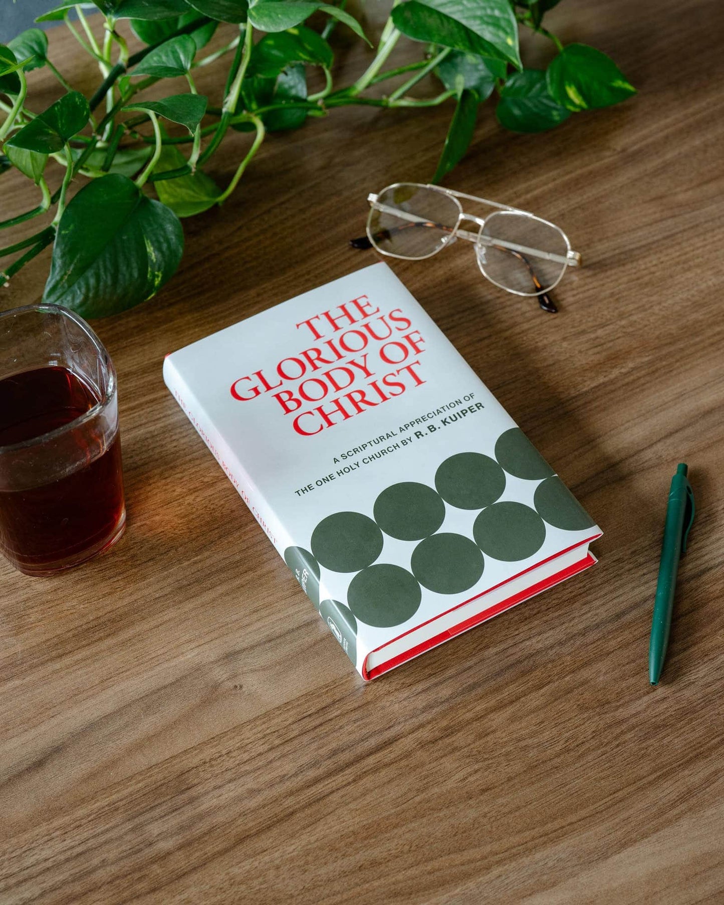 The Glorious Body of Christ: A Scriptural Appreciation of the One Holy Church