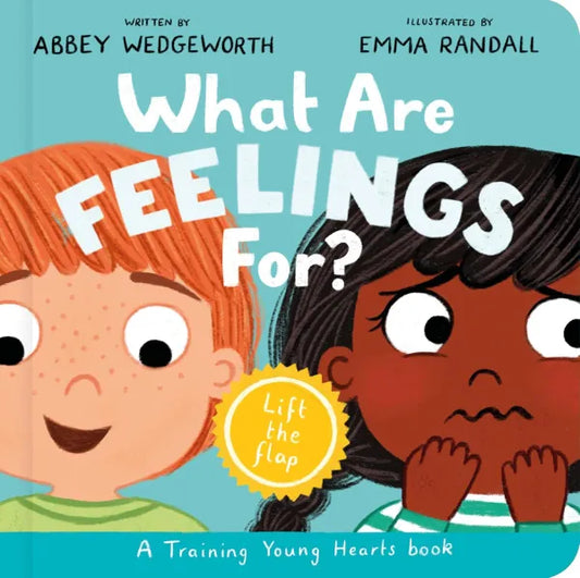 What Are Feelings For? A Lift-the-Flap Board Book