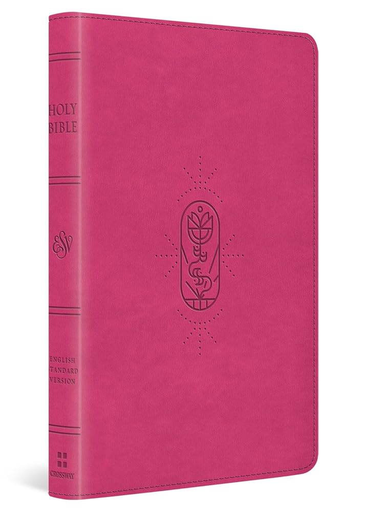 ESV Holy Bible for Kids (TruTone, Berry, The True Vine Design) cover image
