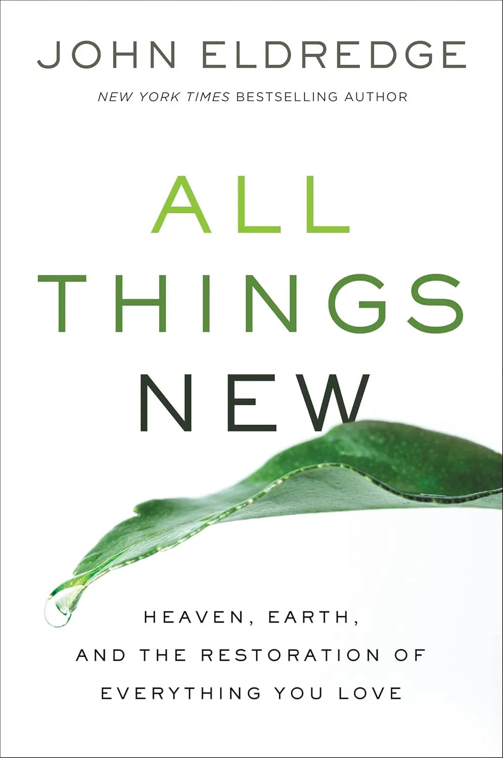 All Things New - Heaven, Earth, and the Restoration of Everything You Love
