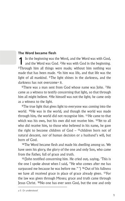 NIV John's Gospel