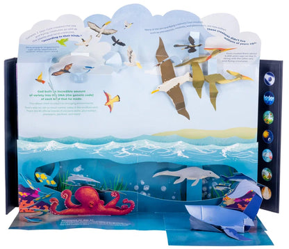 Days of Creation: A Pop-Up Book