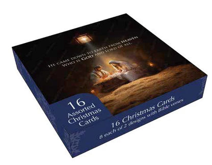 Christmas Boxed Cards: He Came Down (Pack Of 16)