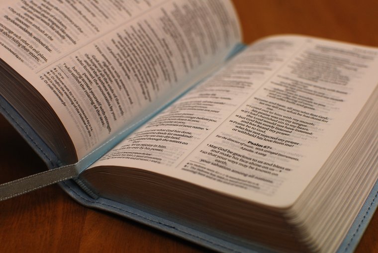Holy Bible: New International Version (Pastel Blue Soft-tone Bible)