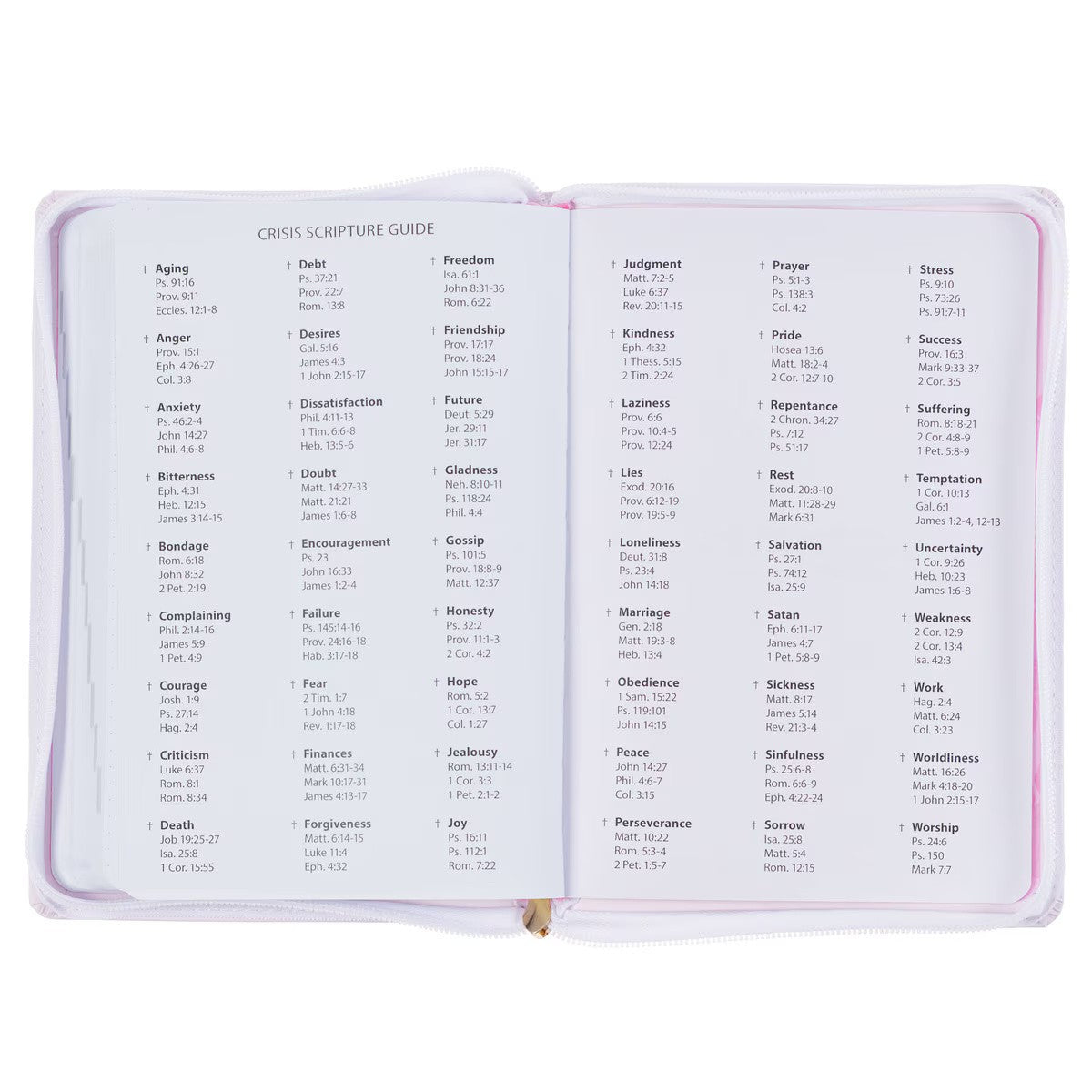 Trust in the Lord Blush Pink Faux Leather 2025 Executive Planner with Zipper Closure - Proverbs 3:5