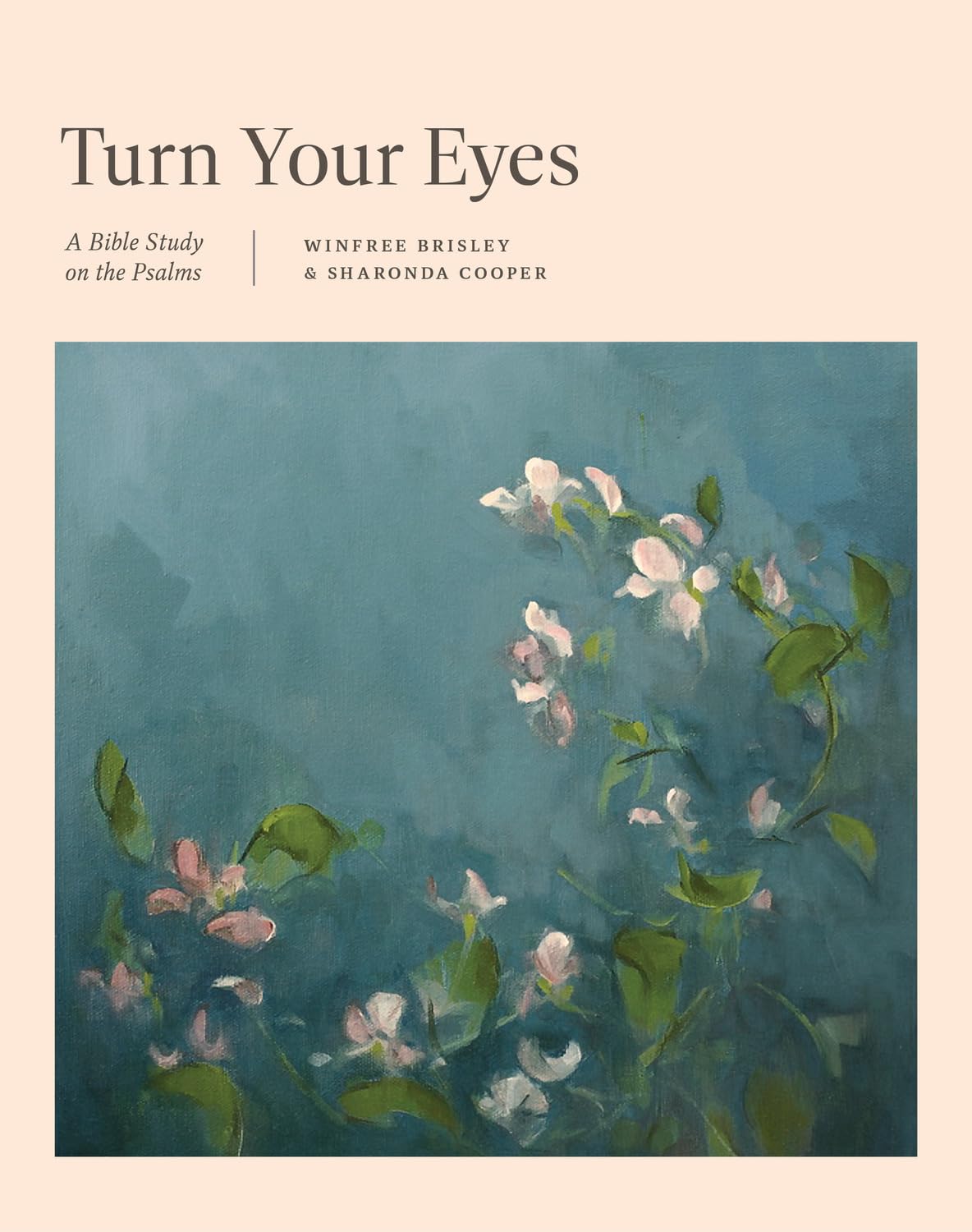 Turn Your Eyes: A Bible Study on the Psalms
