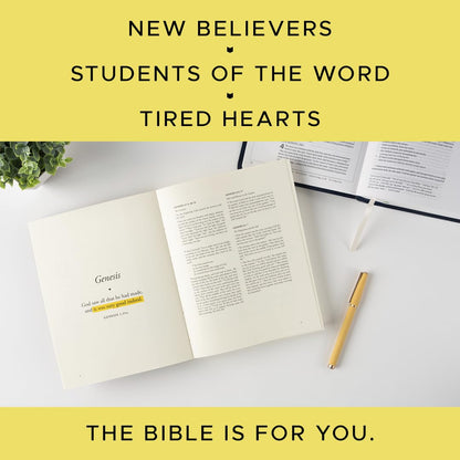 The Bible is for You: A Devotional Journey Through Every Book of the Bible Paperback