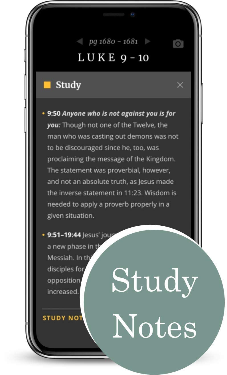 NLT Large Print Thinline Reference Bible, Filament Edition