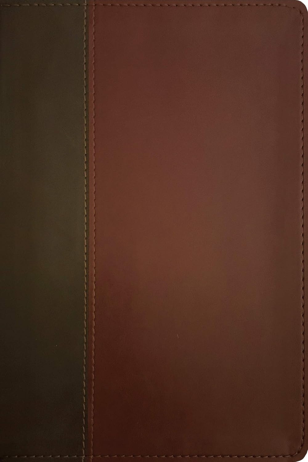 KJV Personal Size Giant Print Bible, Filament Edition, Brown: KJV, Brown/Mahogany, Leatherlike, Filament Enabled, Personal Size, Giant Print Imitation Leather – Large Print