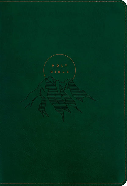 NLT Large Print Thinline Reference Bible, Filament Edition