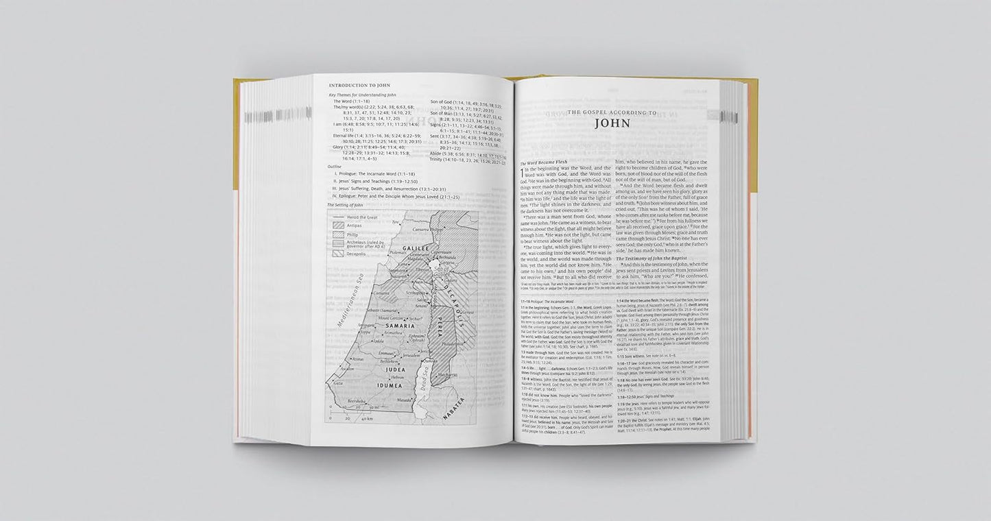 ESV Teen Study Bible (Desert Sun)