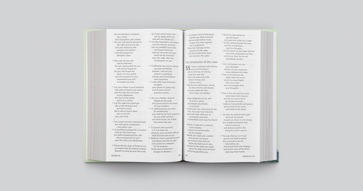ESV Holy Bible for Kids, Dyslexia-Friendly Edition (Hardcover): Children's Bible for Ages 6–10: Dyslexia-Friendly Edition (Hardcover)
