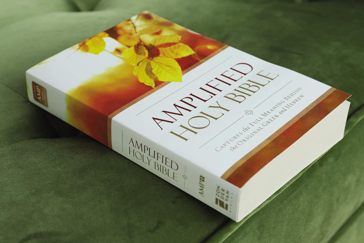 Amplified Outreach Bible, Paperback
