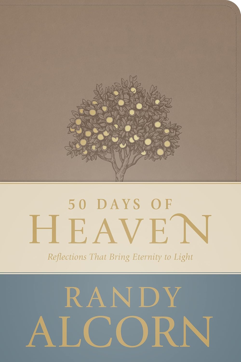 50 Days of Heaven: Reflections That Bring Eternity to Light