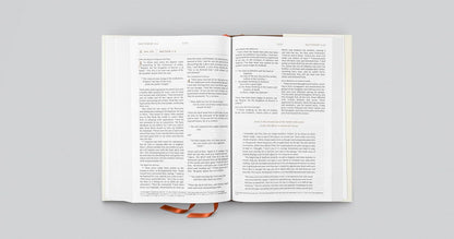 ESV Everyday Gospel Bible