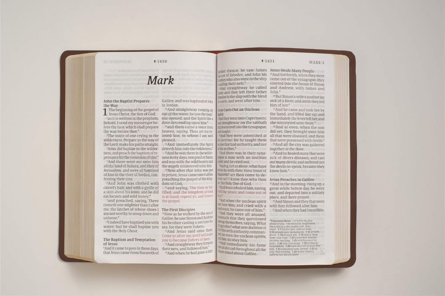 KJV Personal Size Giant Print Bible, Filament Edition, Brown: KJV, Brown/Mahogany, Leatherlike, Filament Enabled, Personal Size, Giant Print Imitation Leather – Large Print