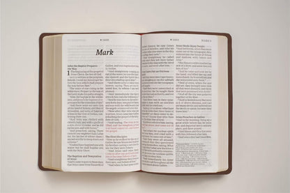 KJV Personal Size Giant Print Bible, Filament Edition, Brown: KJV, Brown/Mahogany, Leatherlike, Filament Enabled, Personal Size, Giant Print Imitation Leather – Large Print