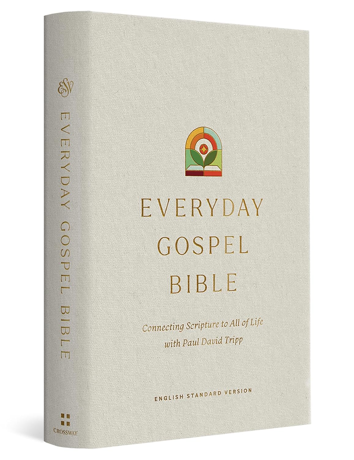 ESV Everyday Gospel Bible