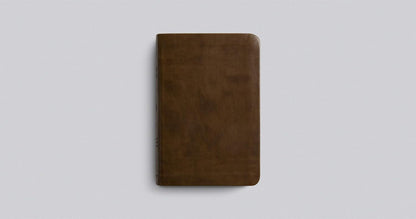 ESV Value Compact Bible (TruTone, Brown)