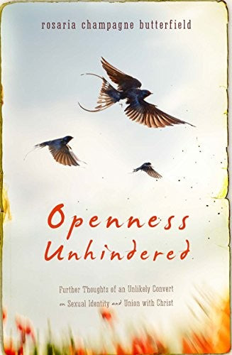 Openness Unhindered - Further Thoughts of an Unlikely Convert on Sexual Identity and Union with Christ