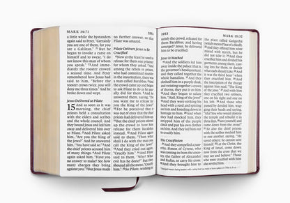 ESV Super Giant Print Bible (TruTone, Burgundy)