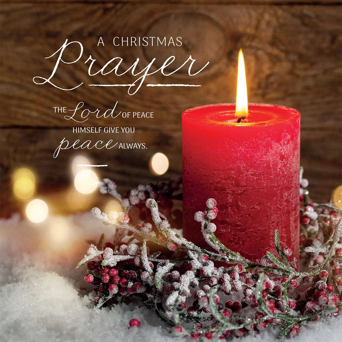 Compassion Christmas Card: A Christmas Prayer (pack of 10)
