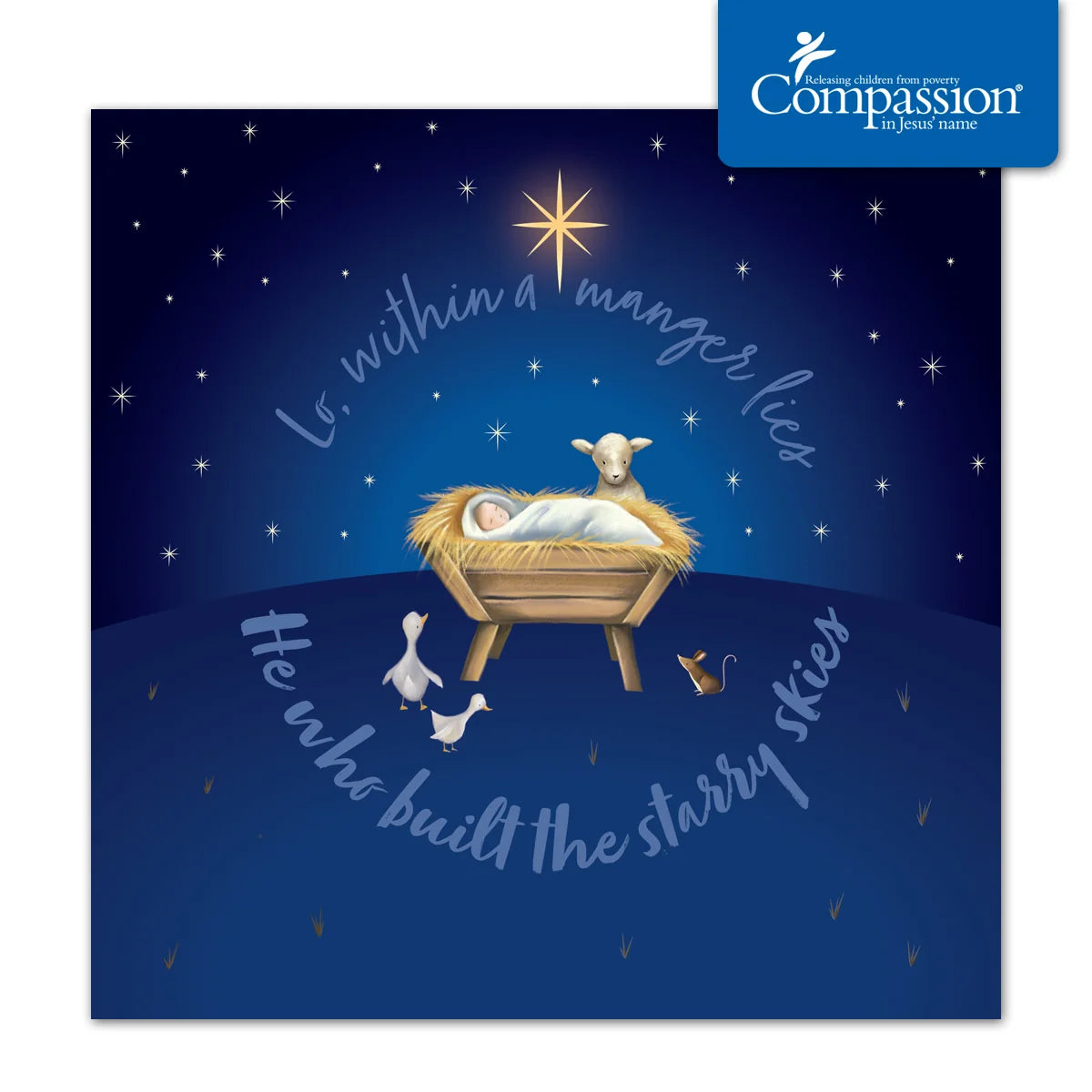 Compassion Christmas Card: Within A Manger (pack of 10)