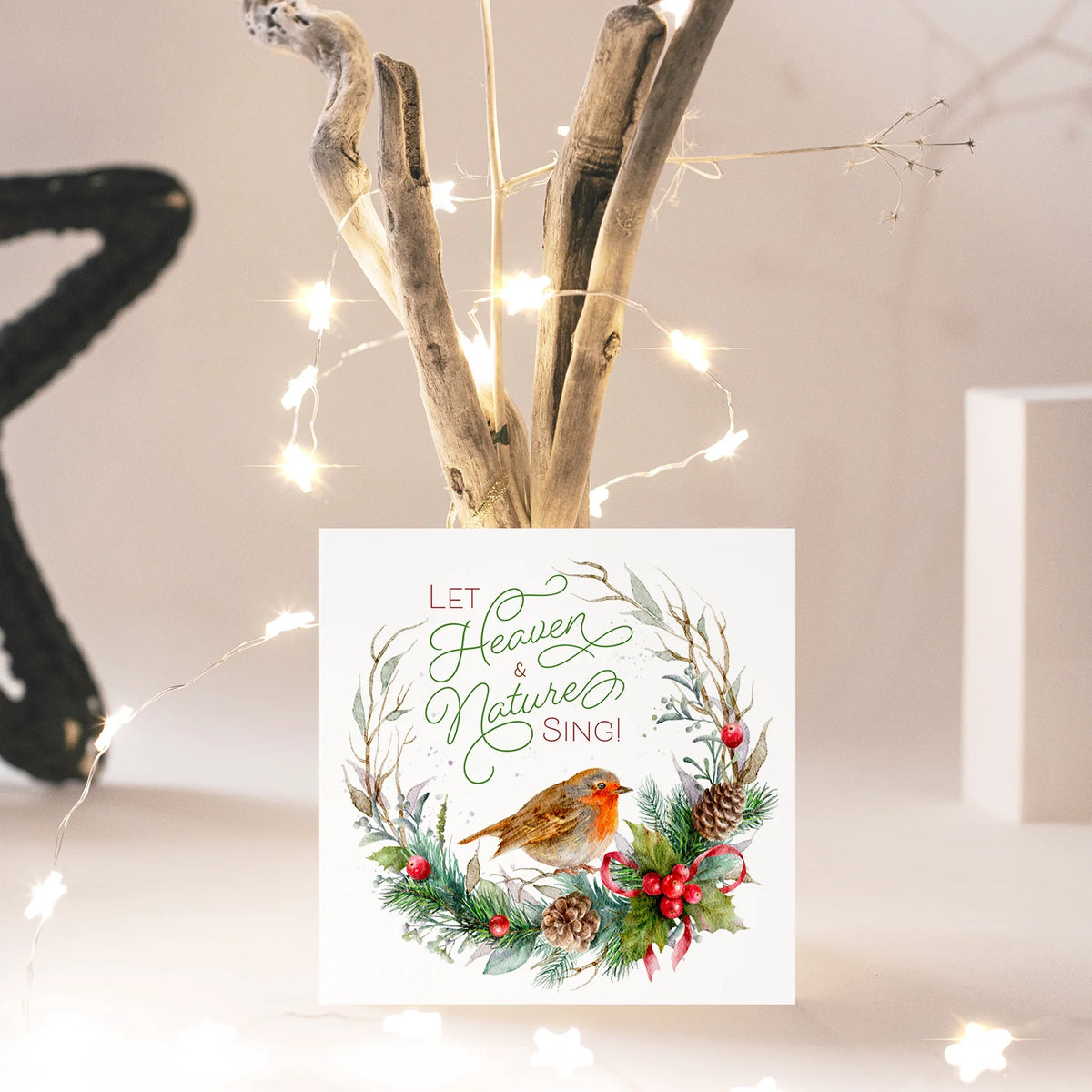 Compassion Christmas Card: Let Heaven and Nature Sing (pack of 10)