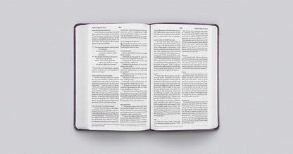 ESV Large Print Value Thinline Bible, TruTone, Lavender