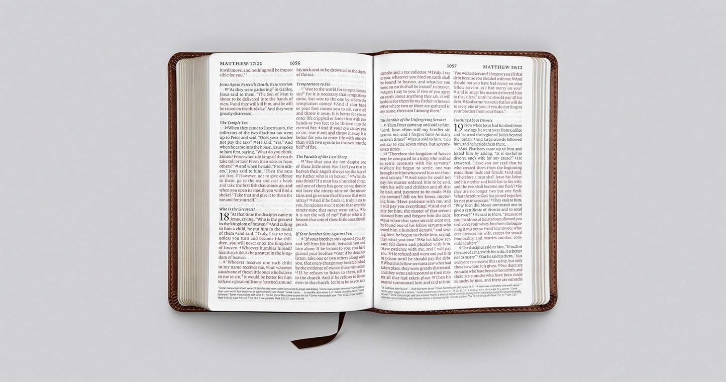 ESV Large Print Compact Bible (Trutone, Brown, Mosaic Cross Design)