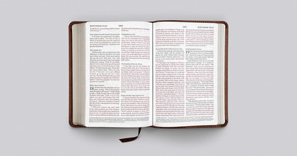 ESV Large Print Compact Bible (Trutone, Brown, Mosaic Cross Design)