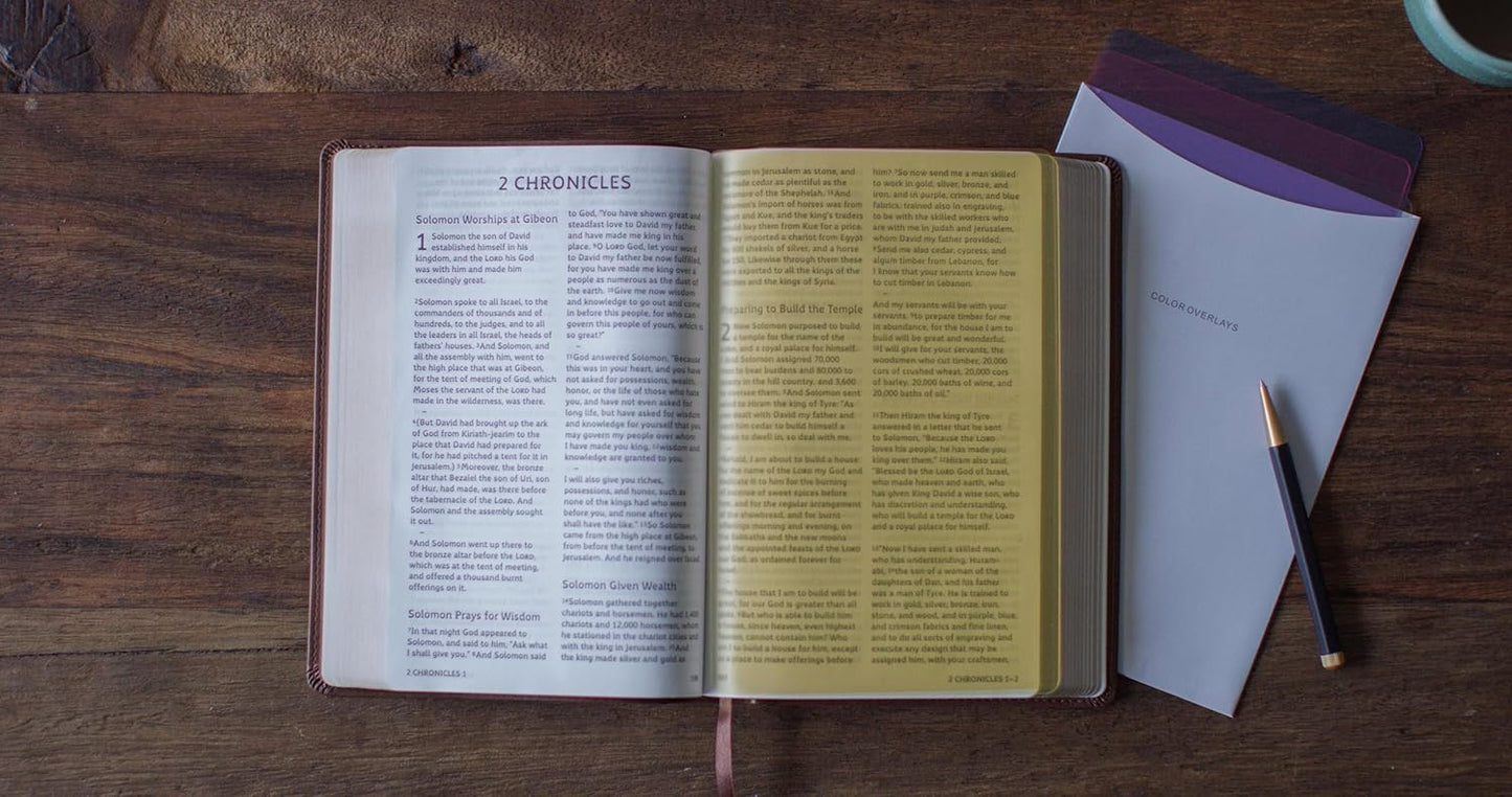ESV Holy Bible: Dyslexia-Friendly Edition (TruTone, Brown)