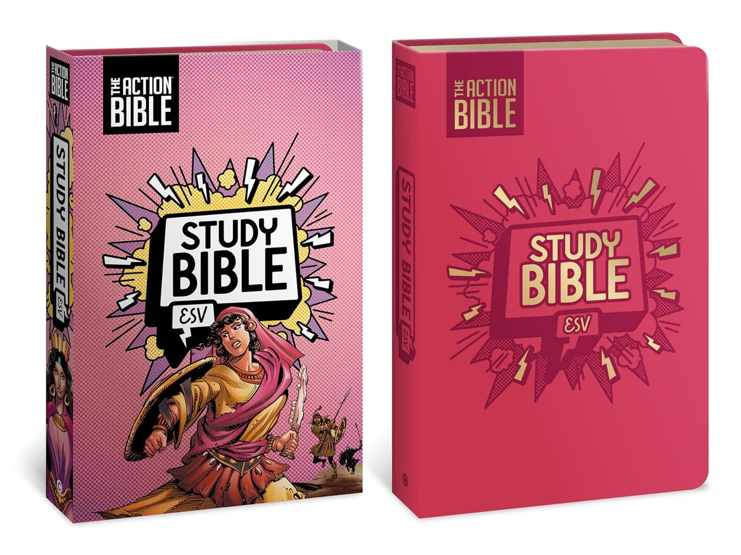 The Action Bible Study Bible Esv, Leathersoft, Pink, Full Color