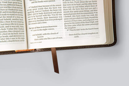 ESV Large Print Compact Bible (Trutone, Brown, Mosaic Cross Design)